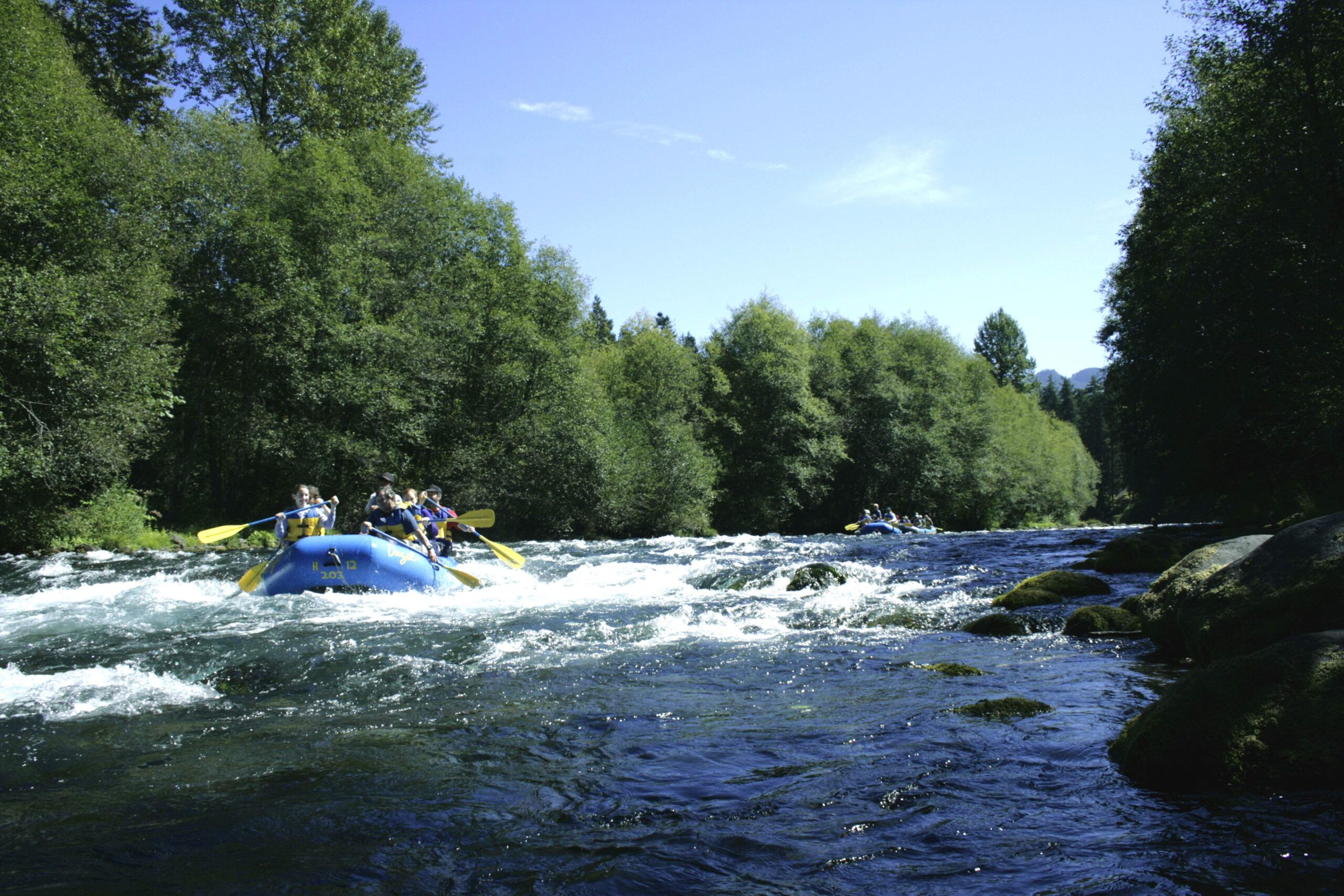 McKenzie River Rafting