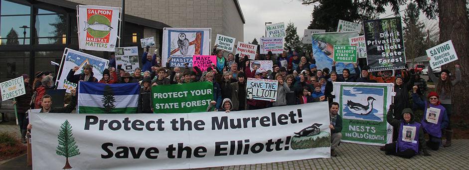 Oregonians turned out in force at the December State Land Board meeting (photo by Cascadia Wildlands)