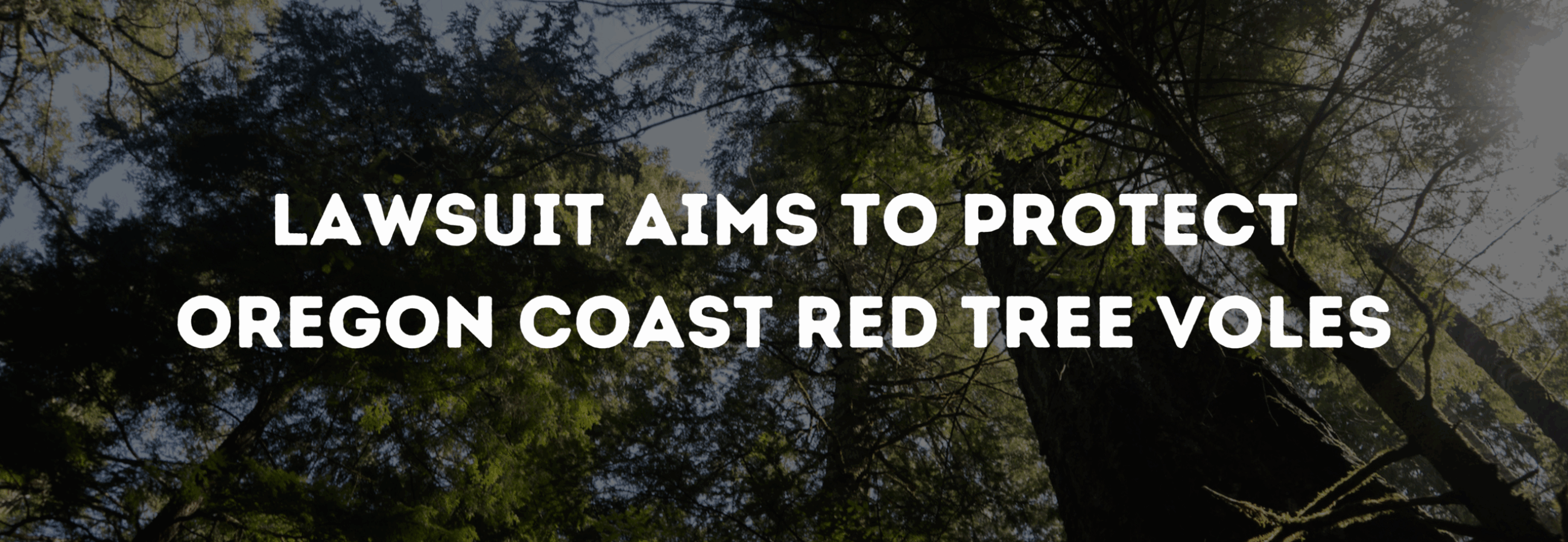 Lawsuit Aims to Protest Oregon Coast Red Tree Voles