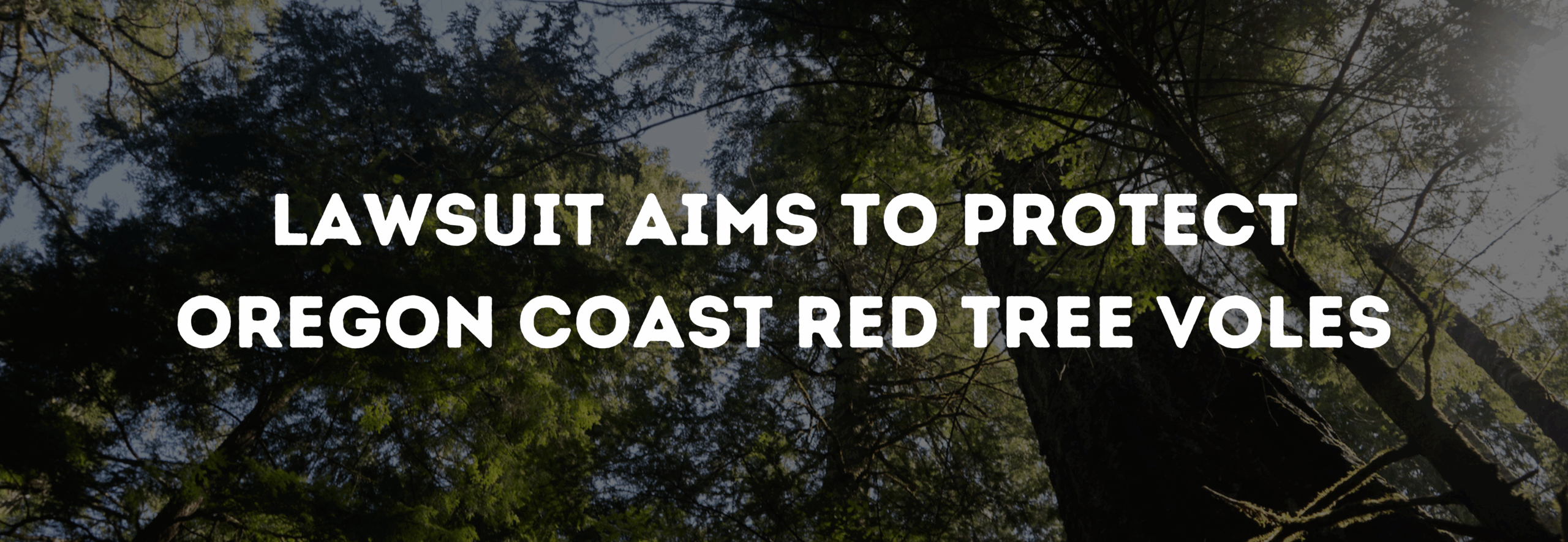 Lawsuit Aims to Protest Oregon Coast Red Tree Voles