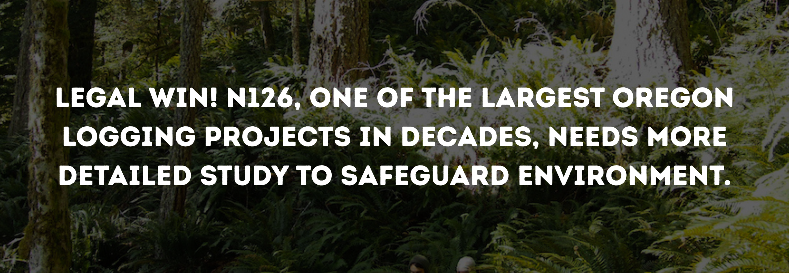 Text is overlaid on top of a forest and reads: Legal Win! N126, one of the largest Oregon logging projects in decades, needs more detailed study to safeguard environment.