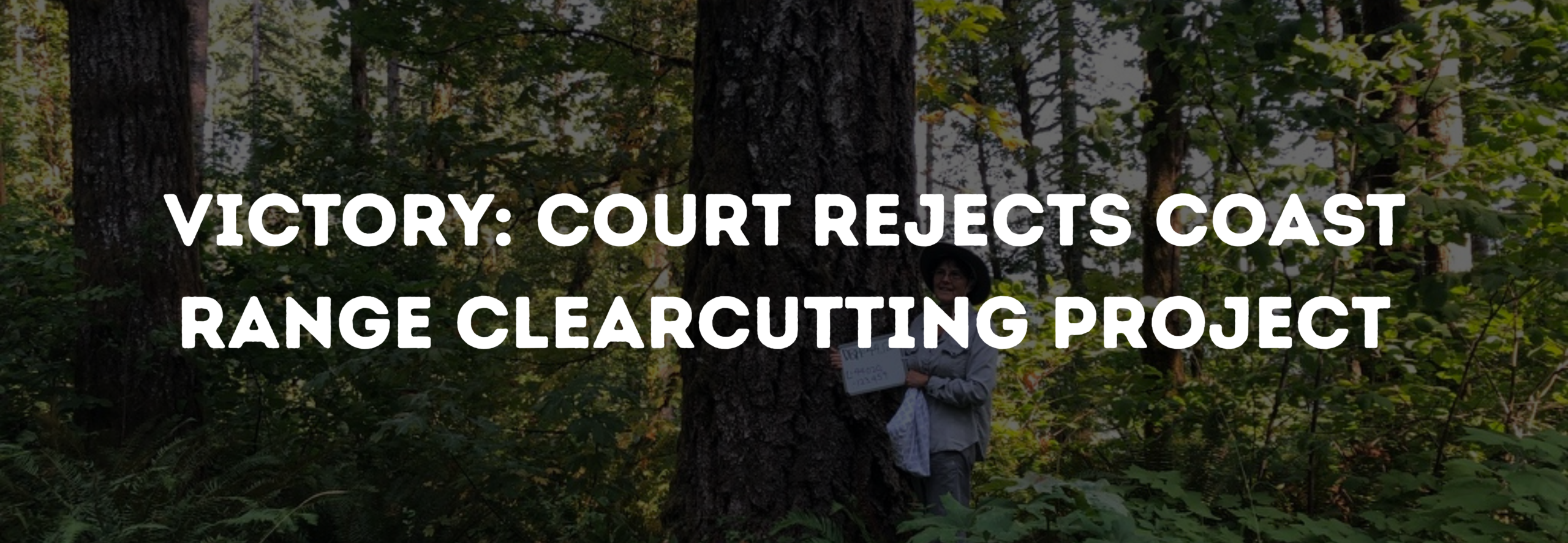 Victory: Court Rejects Coast Range Clearcutting Project
