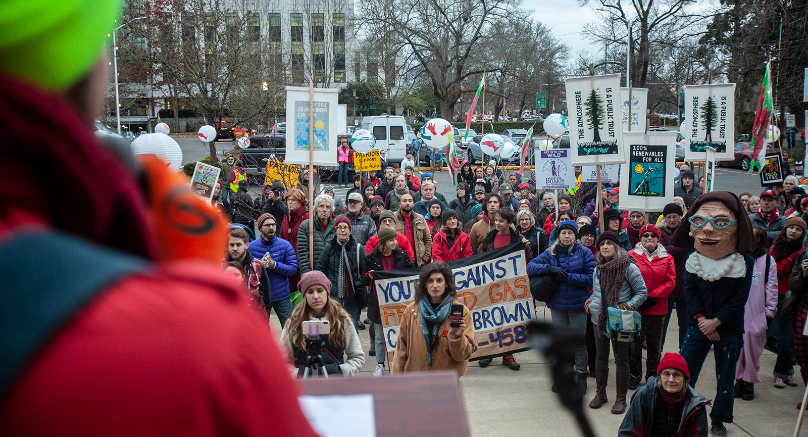 No LNG Rally – Jan_15_2019 – pic5