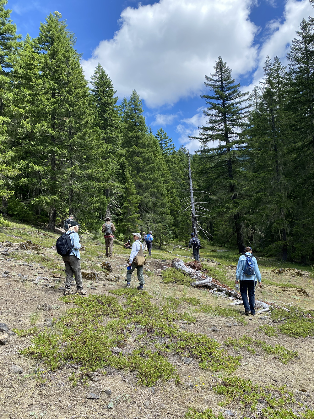 QMS – Unit 166 – Field Check 2020July18 -23