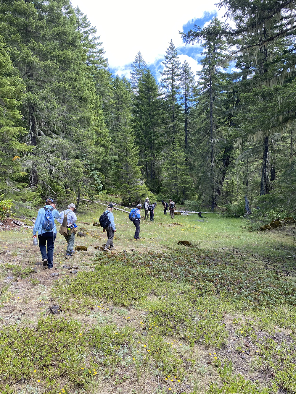 QMS – Unit 166 – Field Check 2020July18 -34
