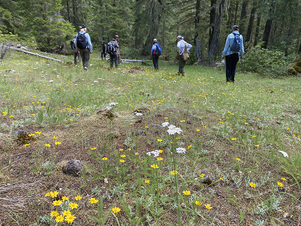 QMS – Unit 166 – Field Check 2020July18 -35