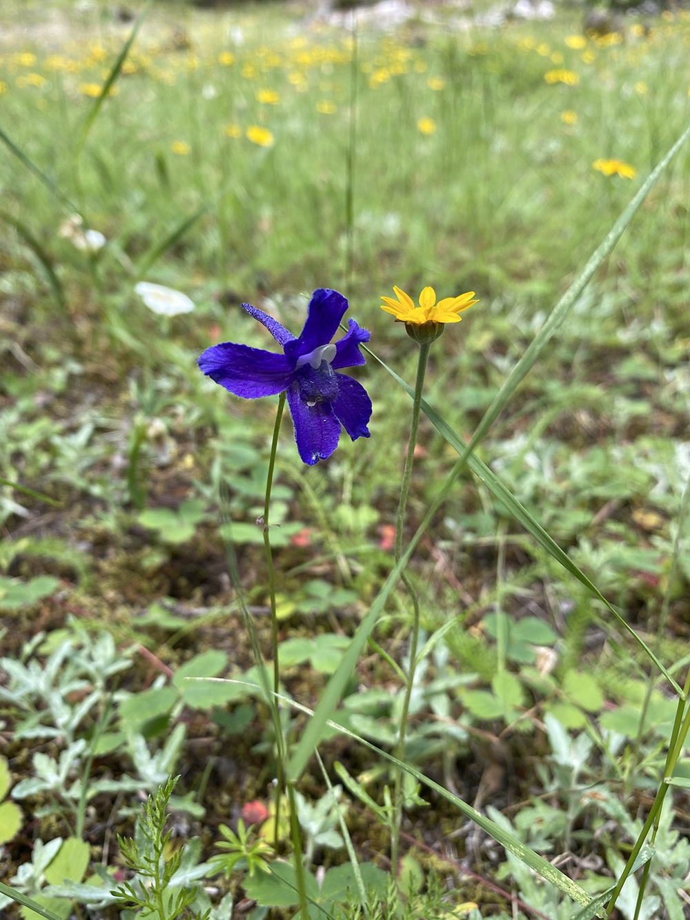 QMS – Unit 166 – Field Check 2020July18 -38