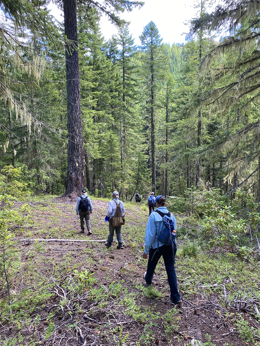 QMS – Unit 166 – Field Check 2020July18 -41