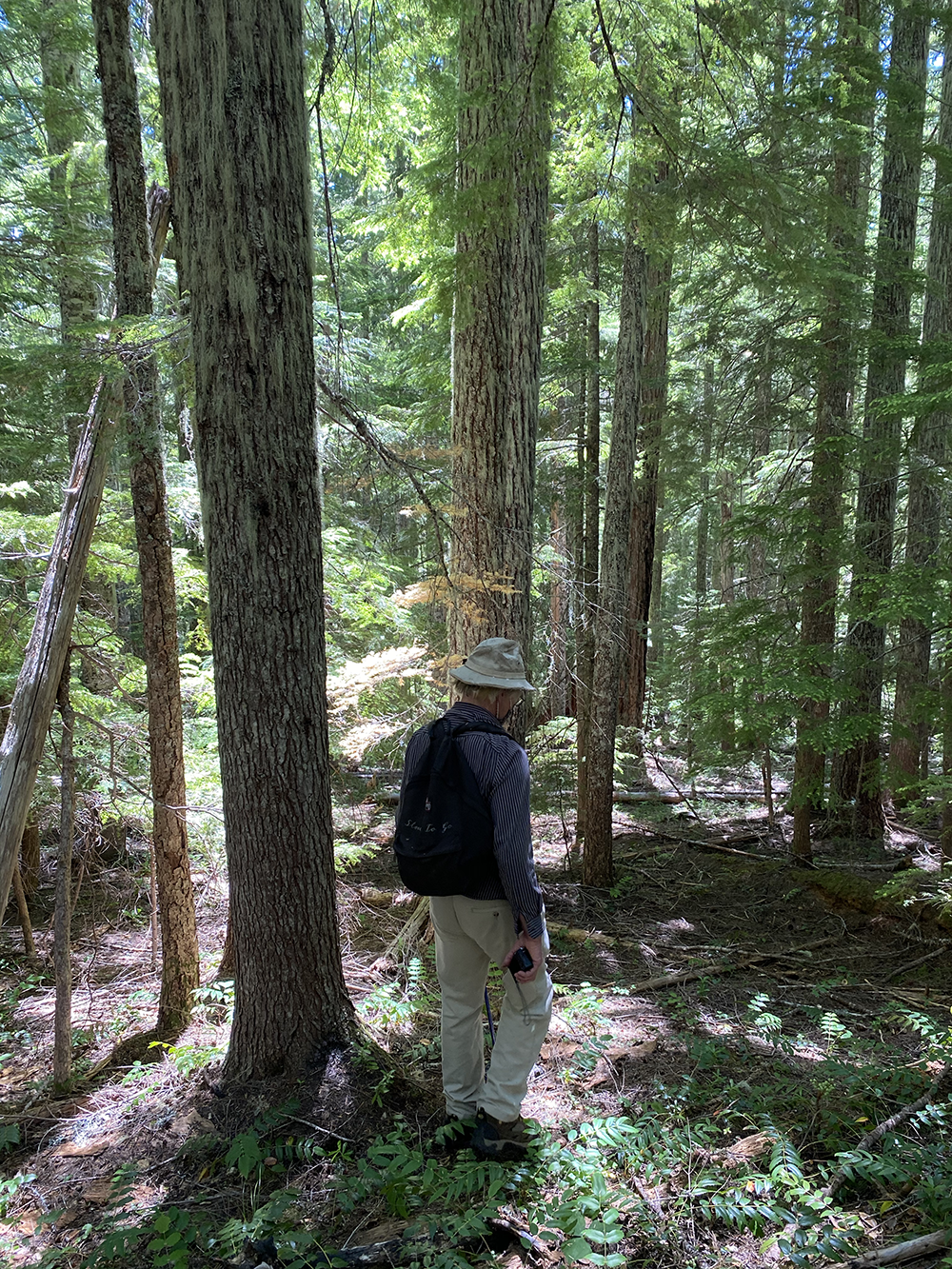 QMS – Unit 166 – Field Check 2020July18 -56