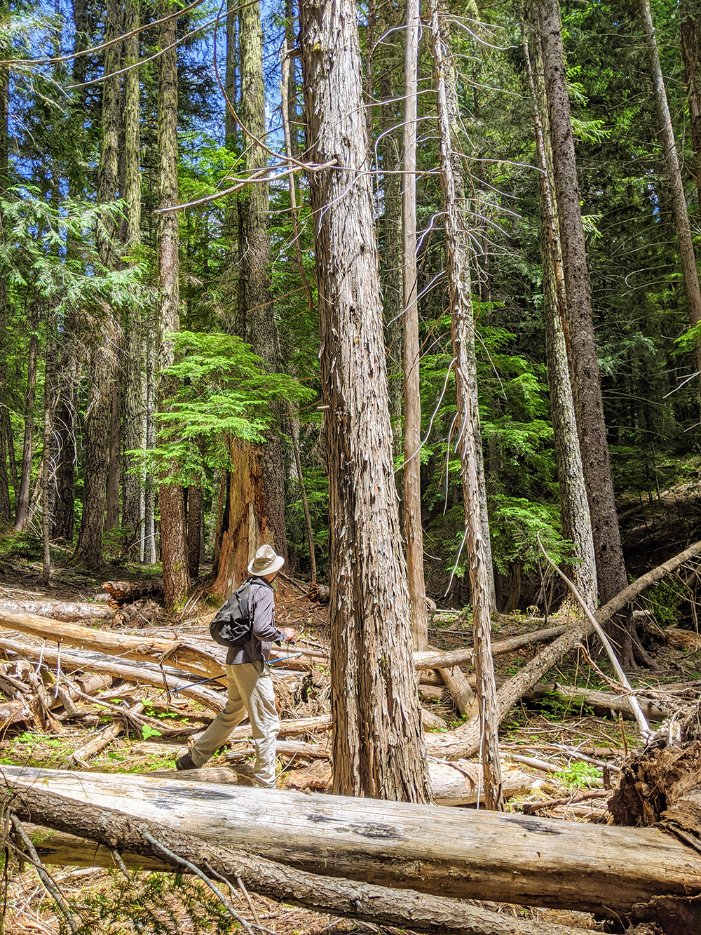 QMS – Unit 166 – Field Check 2020July18 – byChelseaStewart-Fusek -woody