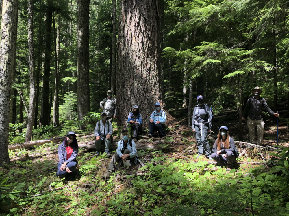 QMS – Unit 166 – Field Check 2020July18 -group