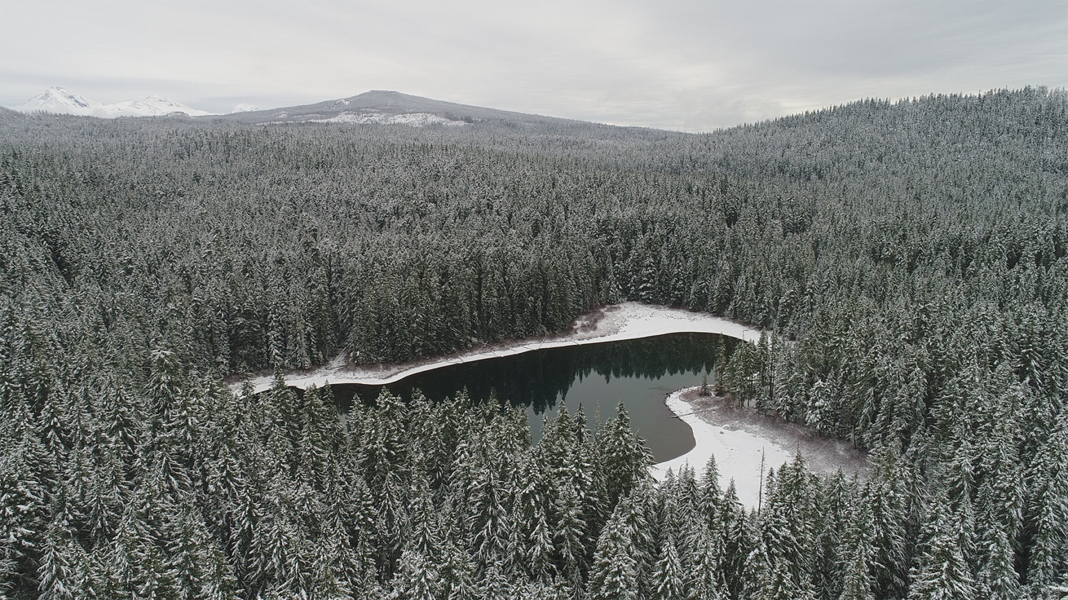 Flat Country timber sale, Robinson Lake Unit 1130-1140 to the right (photo by Willamette Riverkeeper).