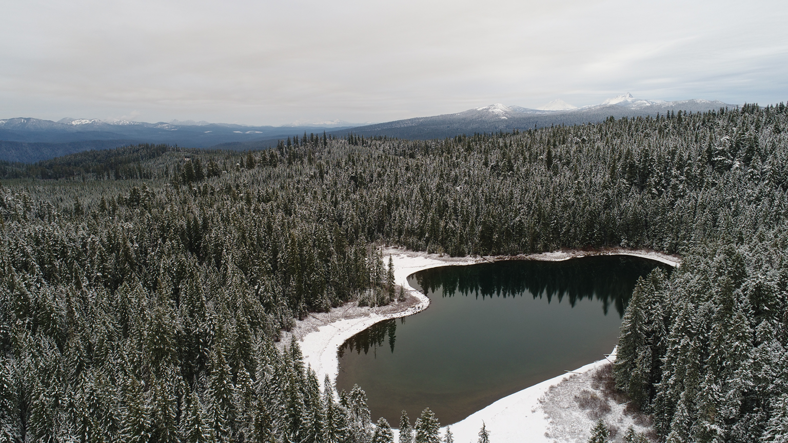 Flat Country timber sale, Unit 1130 to the left (photo by Willamette Riverkeeper).