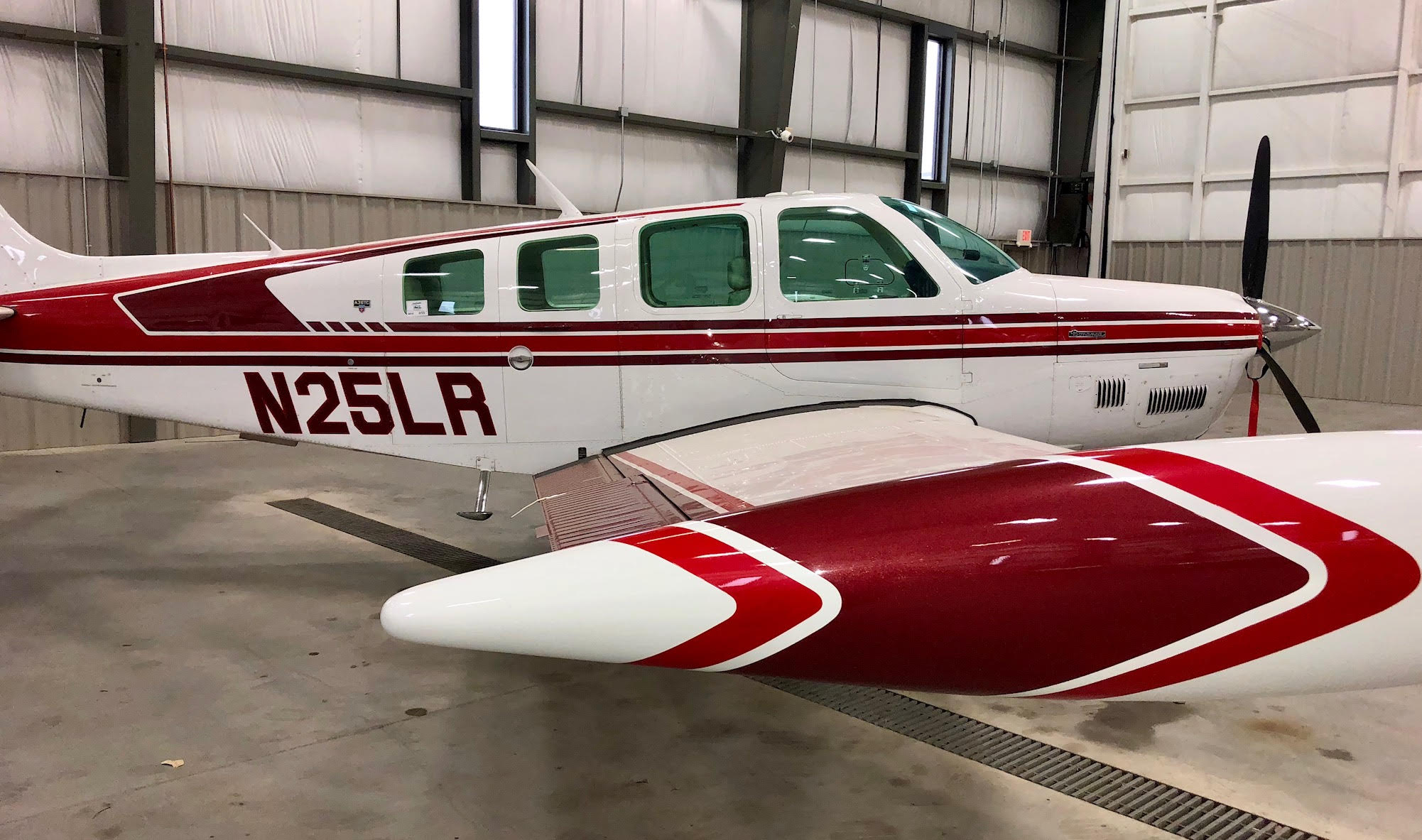 Sightseeing Flight — the plane