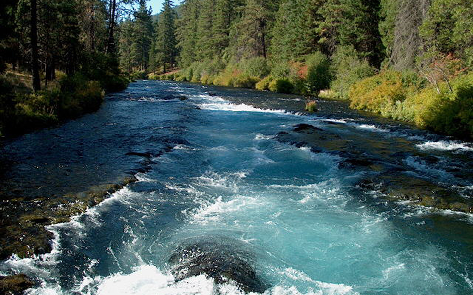 hottopic_McKenzie-River-cok