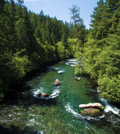 Caddis Fly river