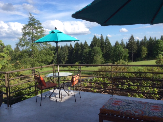 Galas and Merten Vineyard Stay – porch