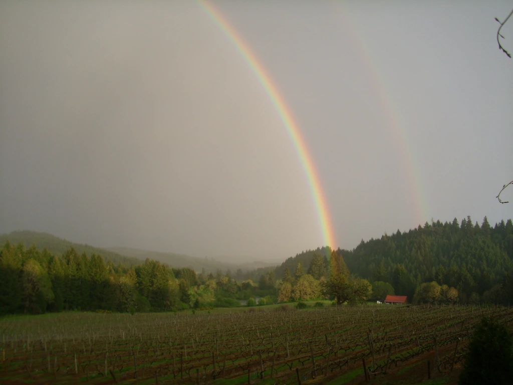 Rainsong best-rainbow copy