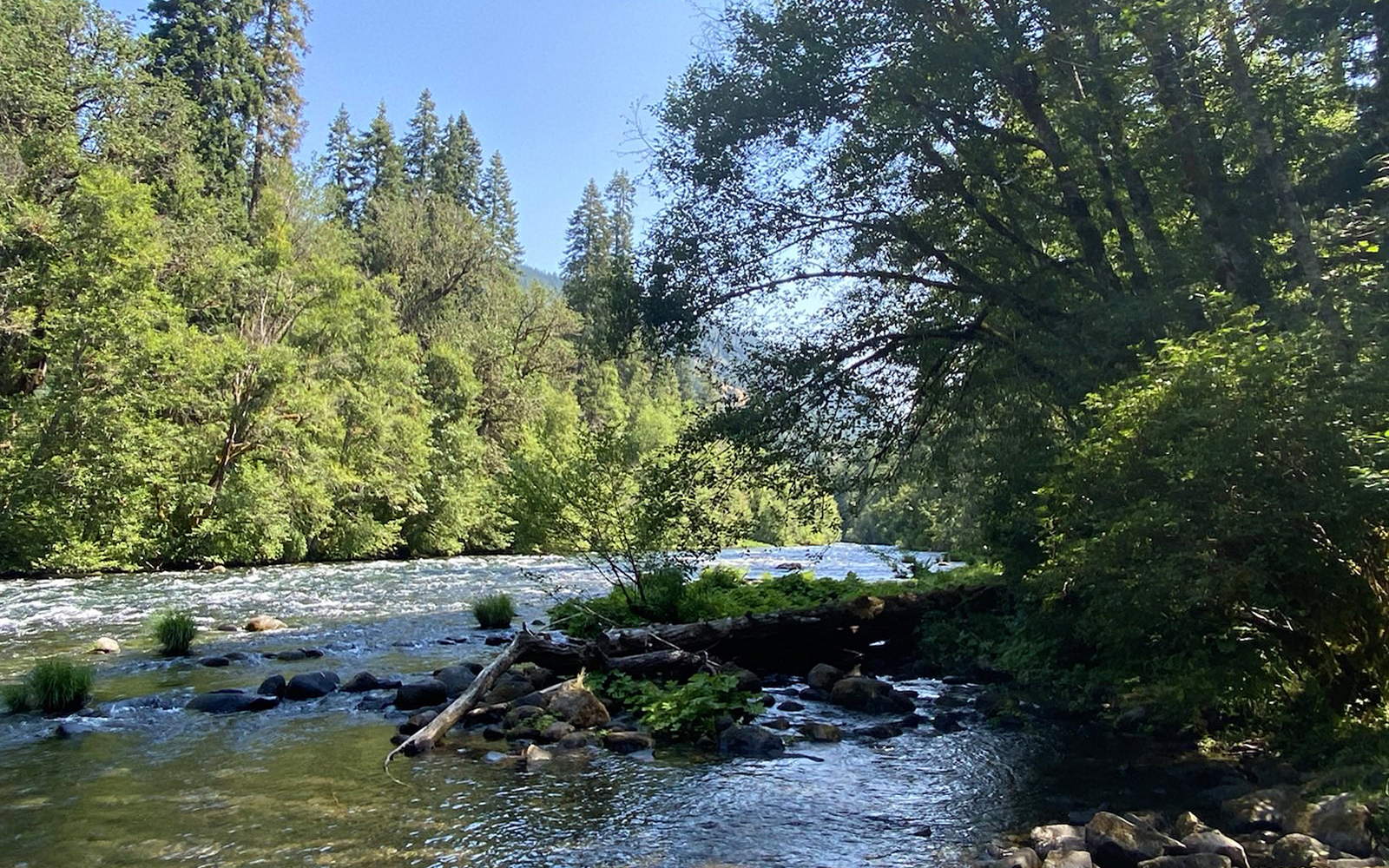 hottopic_McKenzie River – photo by Cascadia Wildlands