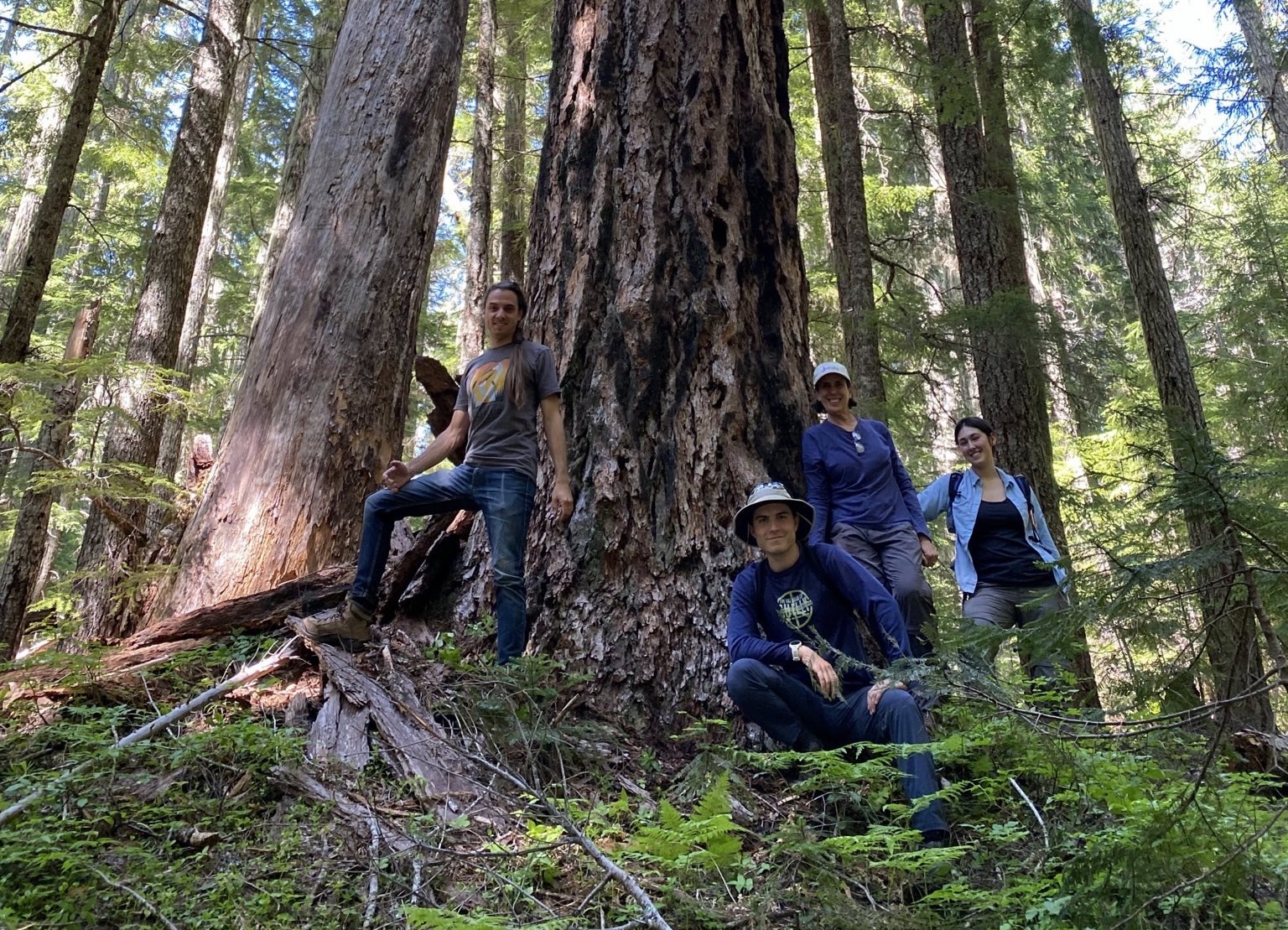 WildCAT volunteers field check in the Divide Timber Sale. 