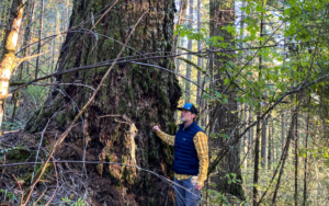 A volunteer stands near the base of an old-growth douglas fir, surrounded by woody and green understory.