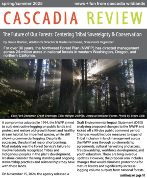 Cover page of the Cascadia Review featuring an image of a forest with dappled light.