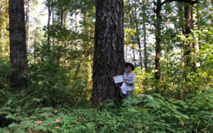 A person stands next to a large tree with a white board delineating the DBH.