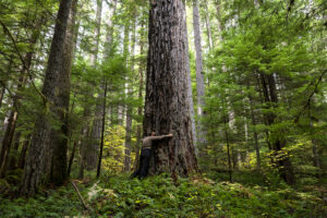 A person wearing khaki hugs a large tree.