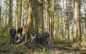A group poses for a photo around a large, moss covered tree.