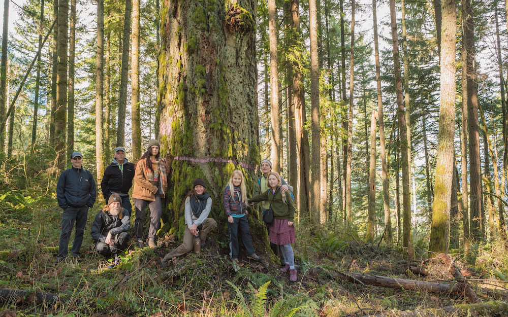 A group poses for a photo around a large, moss covered tree.