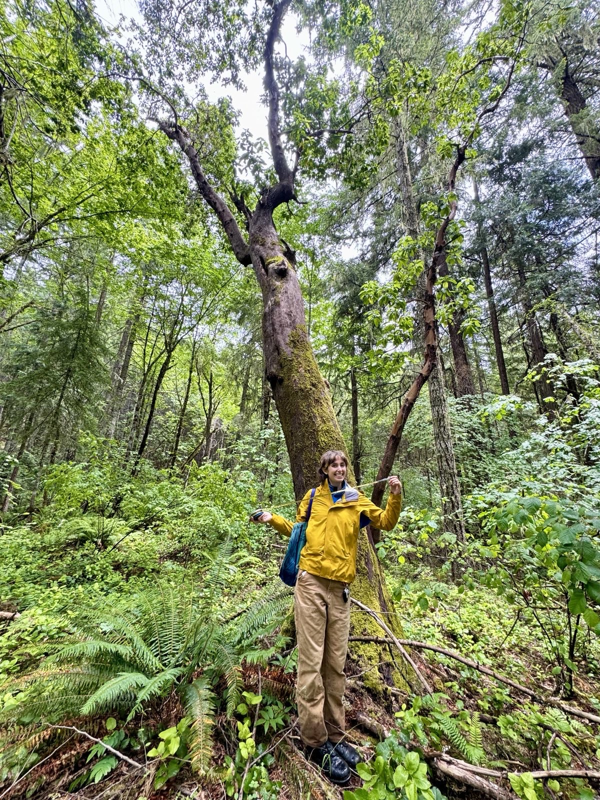 A person smiles with a diameter tape in a lush green forest. They are wearing a yellow rain coat.
